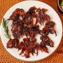 서영이네 이미지