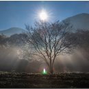 계곡의아침 이미지