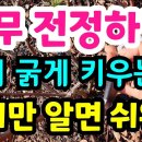 산골여행 Daum카페