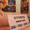공주 티스토리