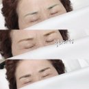 눈썹이날개다 이미지