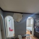 원선로 | 곰팡이 걱정 끝! 안산에서 만난 믿음직한 청년도배사, PP도배 후기