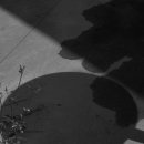 메그네이트 이미지