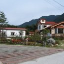 얼음골향림 이미지