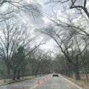 호암공원화장실(호암) 이미지