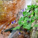 위드바이오 이미지