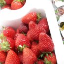 남화농장 이미지