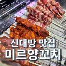 신대방양꼬치 미르양꼬치에서 지삼선과 양꼬치 종류별로 먹은 후기