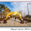 은행자동차(주) | 원주 반계리 은행나무 단풍 명소 , 꼭! 가볼 만한 곳 한국에서 가장 아름다운 천년 은행나무의 여행 후기