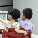 트랩 | 집에서 트립트랩 셀프페인팅 리폼 후기