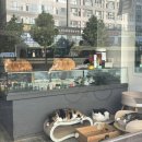 야옹이전자담배 이미지