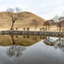 벚꽃이 가득할 그날을 기다리며, 경주 벚꽃 명소 답사여행 이미지