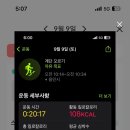 하이피넛