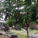 중앙동105 이미지