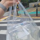 광진 능동로10길 이미지