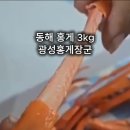 광성홍게장군 이미지