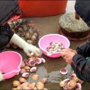 웅도민박 이미지