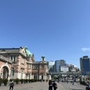 대창택시 | [고양] 고양 꽃박람회 후기(서울역-킨텍스역, 킨텍스역에서 가는 방법, 택시)