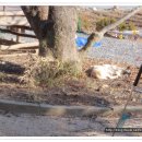 산촌경로당 이미지