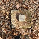 금강기맥 121km- #2 봄에 피어나는 꽃처럼 꽃길만 걸을수 없을까? 이미지