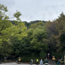 광명동굴 이미지