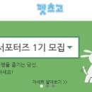 펫츠고트래블 이미지
