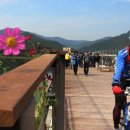 남한강자전거길 8 이미지