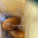 둥글동글베이커리 이미지