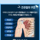 아라한의원 이미지