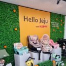 ㈜제주유명렌트카 | 제주-내돈내산, 2번째 이용한 제주해피렌트카 후기