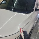 클린카워시 | 남양스팀세차 성지 방문기 클린카워시 봄패키지오픈 단골이직접 시공받은 후기