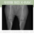 나음동물병원 이미지