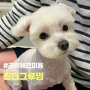 킨더그루밍 네이버블로그