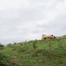 언덕위에 집 이미지