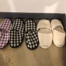 올리비아모텔 이미지