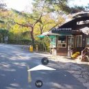 상운산 | 운문산자연휴양림 오소리 여행 후기