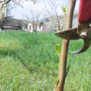 옥신농장 이미지