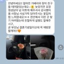해화 | [천안꽃집] "한번 오면 단골 되는 이유" 손님들이 직접 남겨주신 해화꽃 찐 후기 모음