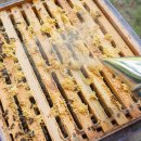 농축농장 이미지