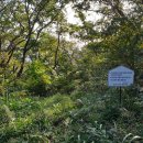 돌샘약수터 이미지