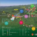 서귀포자연휴양림2 이미지