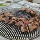 일토농장 | 창원 북면 마금산 온천 맛집 성심농장가든 l 이베리코 돼지