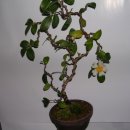 (유)현유 이미지