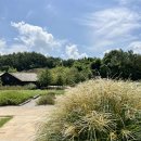 창호목장 | 전북 여행_고창 상하농장 파머스빌리지 내돈내산 후기