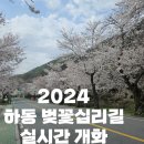 화개보건지소 | 2024 하동 십리벚꽃길, 쌍계사 방향 실시간 벚꽃 상황 주차공유