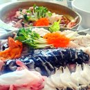 엑스포로2 | 속초 청초수물회 내돈내산 후기 속초여행 맛집 추천