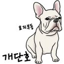 순천유도관 이미지