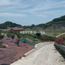 약산면-3 이미지