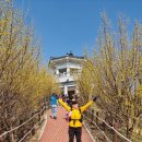 구례 밤재마을/밤재/개척봉/견두산/현천재/현천마을/산수유축제장하산 이미지