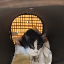 포산동물병원 이미지